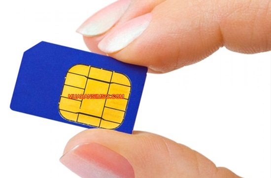 Lắng nghe lời tư vấn về cách chọn sim phong thủy giá tốt