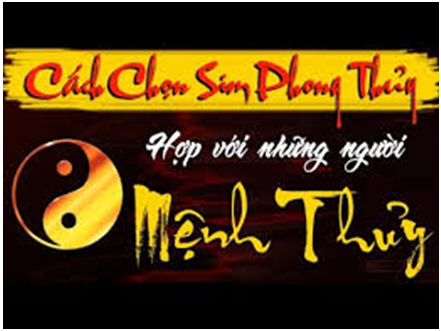 Chọn sim hợp mệnh Thủy như thế nào?